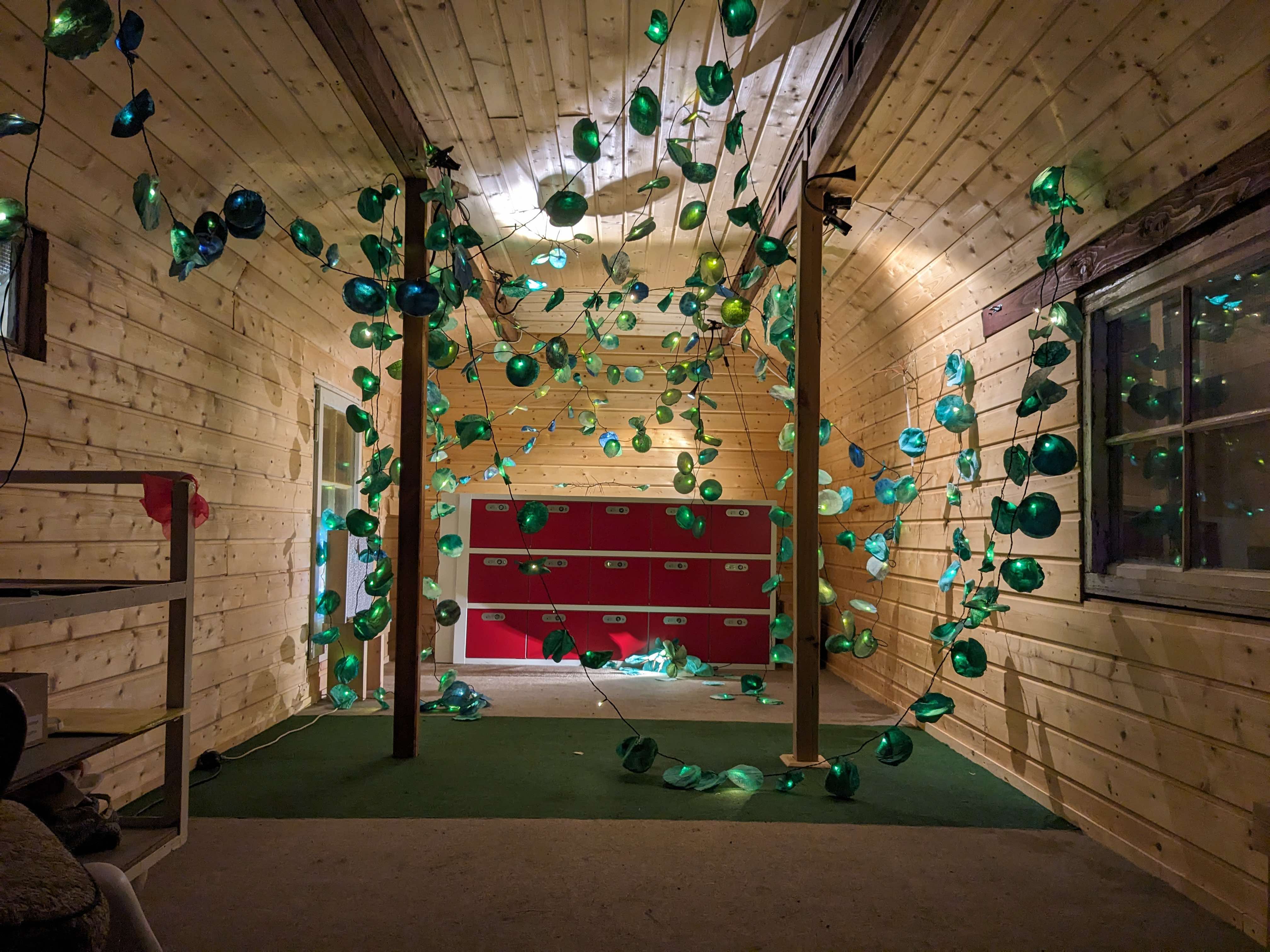 PXL 20231118 175759401 Kopie